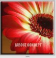 /album/photo-gallery-canvas-uri/decoratiuni-de-perete-canvas-lc-0470-jpg/